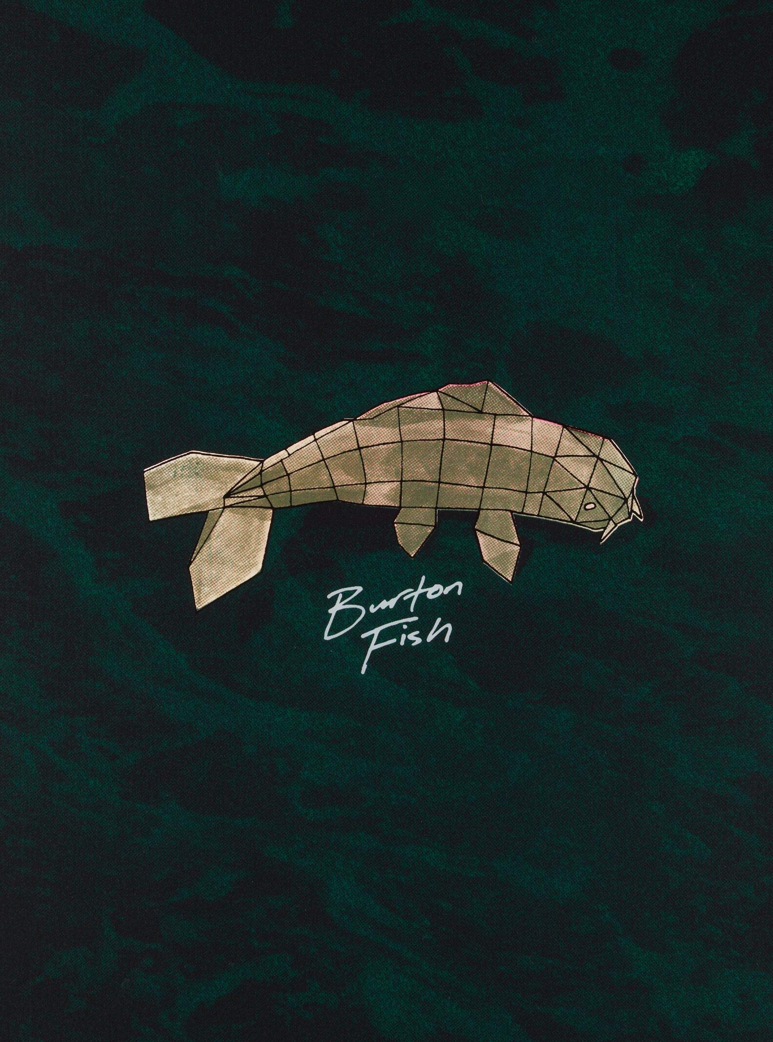 未使用 BURTON Fish 3D 151 Amazon.com: Burton Fish 3D Snowboard Sz 151cm : ספורט ופעילות בחיק